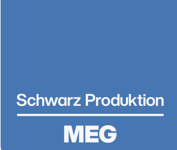 MEG